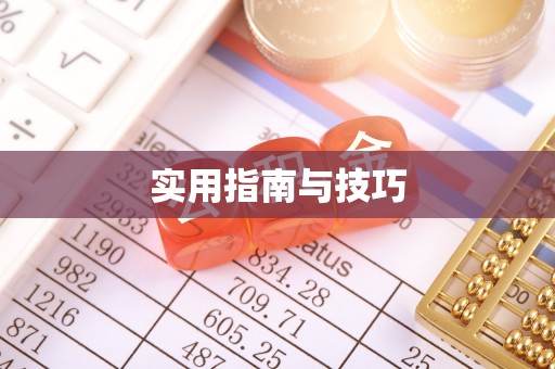 文县实用指南与技巧