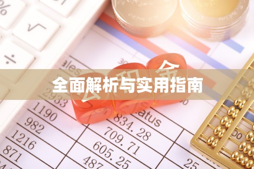 文县全面解析与实用指南