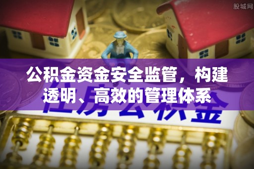 文县公积金资金安全监管，构建透明、高效的管理体系