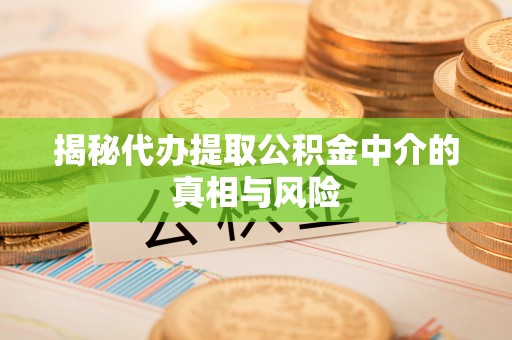 文县揭秘代办提取公积金中介的真相与风险