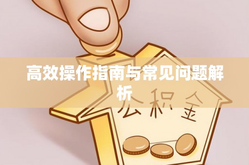 文县高效操作指南与常见问题解析