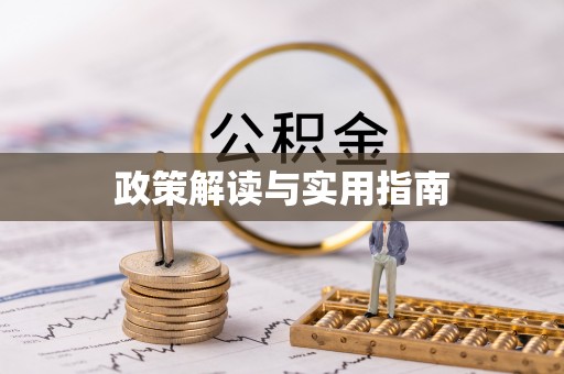 文县政策解读与实用指南
