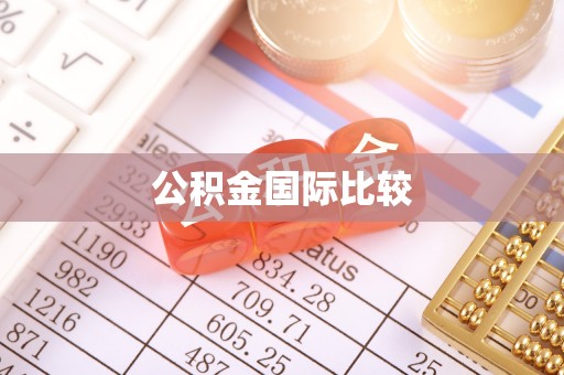 文县公积金国际比较