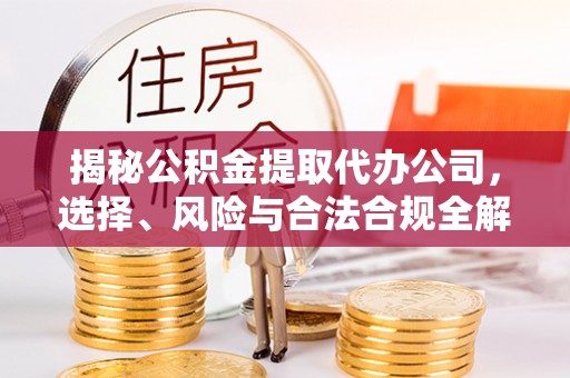 文县揭秘公积金提取代办公司，选择、风险与合法合规全解析