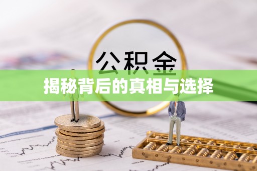 文县揭秘背后的真相与选择