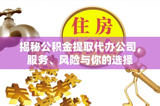 文县揭秘公积金提取代办公司，服务、风险与你的选择