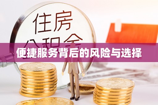 文县便捷服务背后的风险与选择
