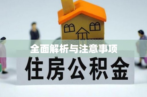 文县全面解析与注意事项