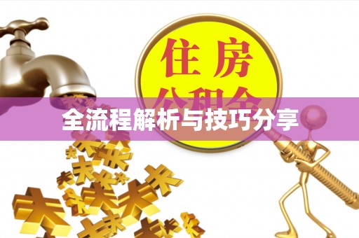 文县全流程解析与技巧分享