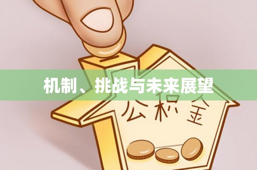 文县机制、挑战与未来展望